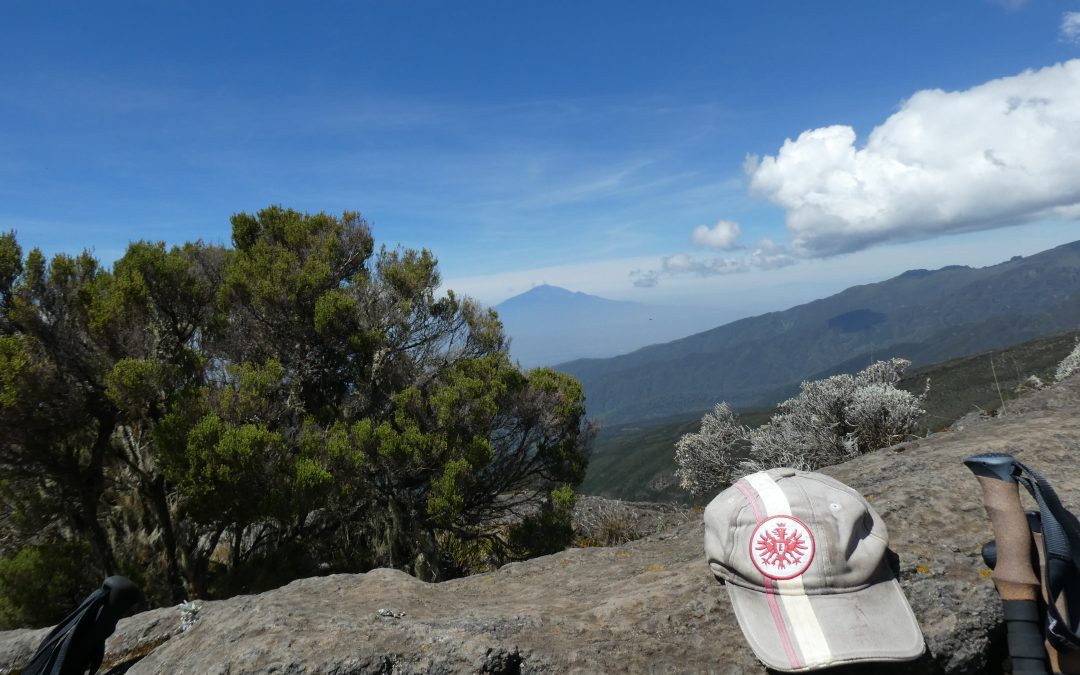 Kilimanjaro Tag 2: Shira Caves