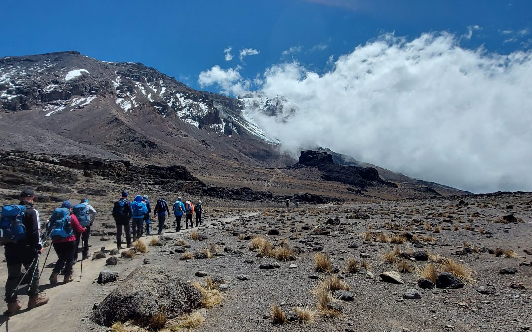Kilimanjaro Tag 3: Lava Tower