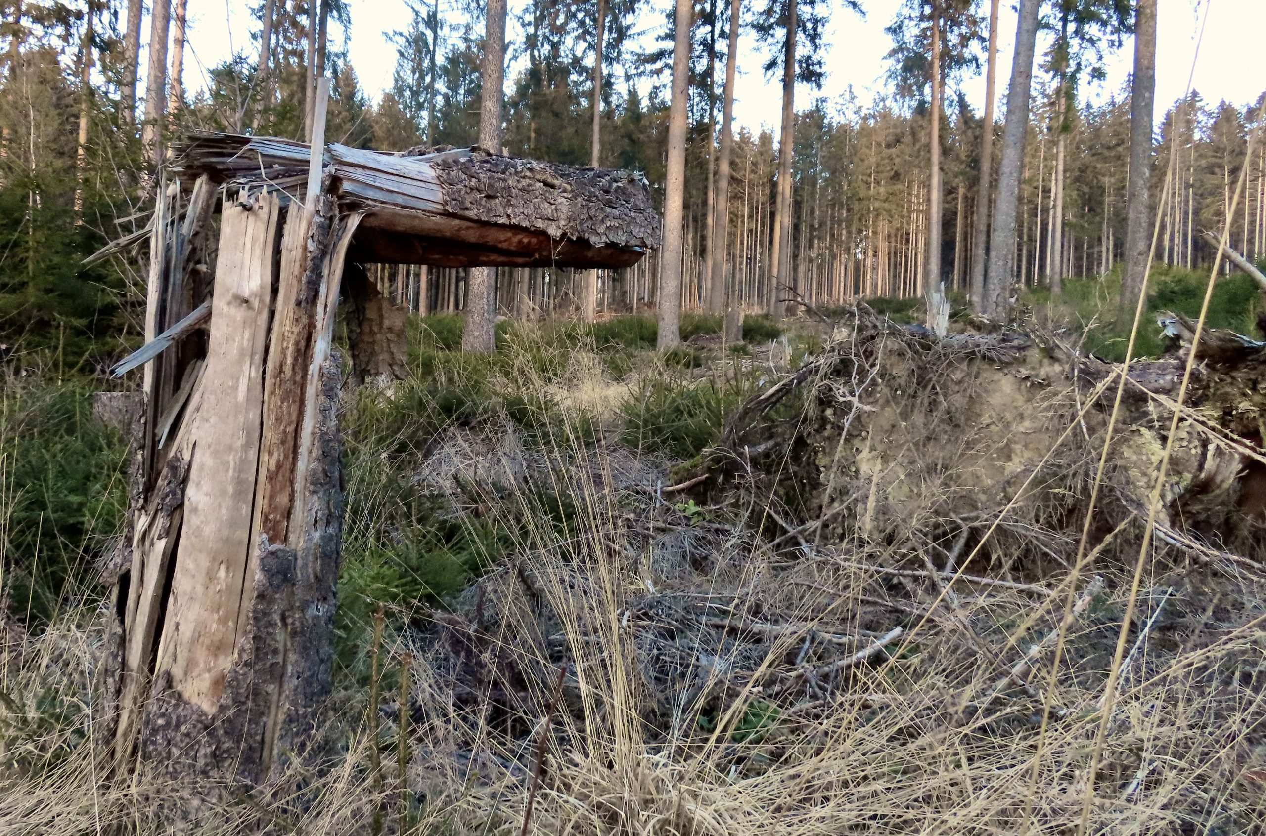 2025-02 Friedrichsdorf nach Pfaffenwiesbach 06