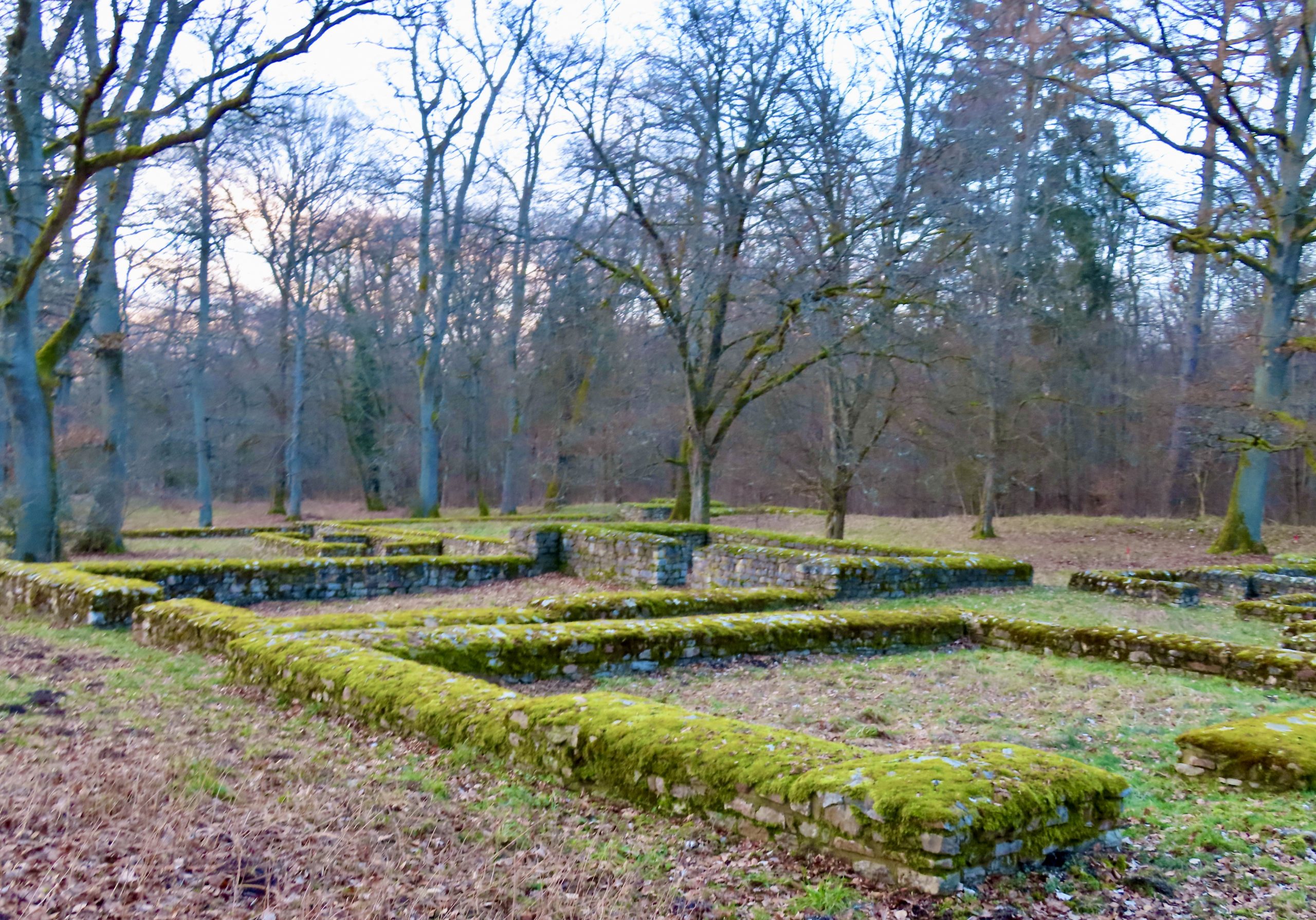2025-02 Friedrichsdorf nach Pfaffenwiesbach 07