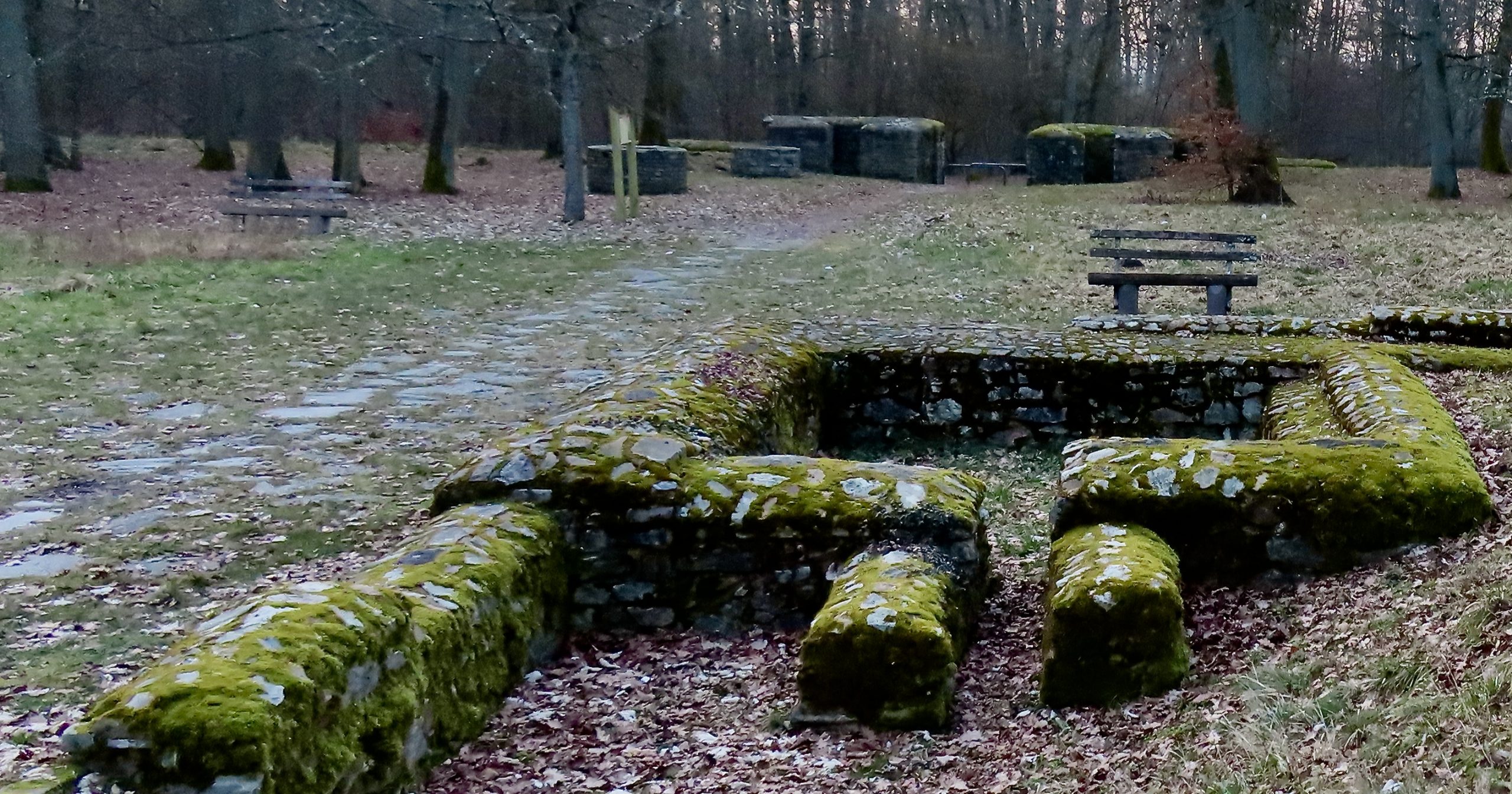 2025-02 Friedrichsdorf nach Pfaffenwiesbach 08