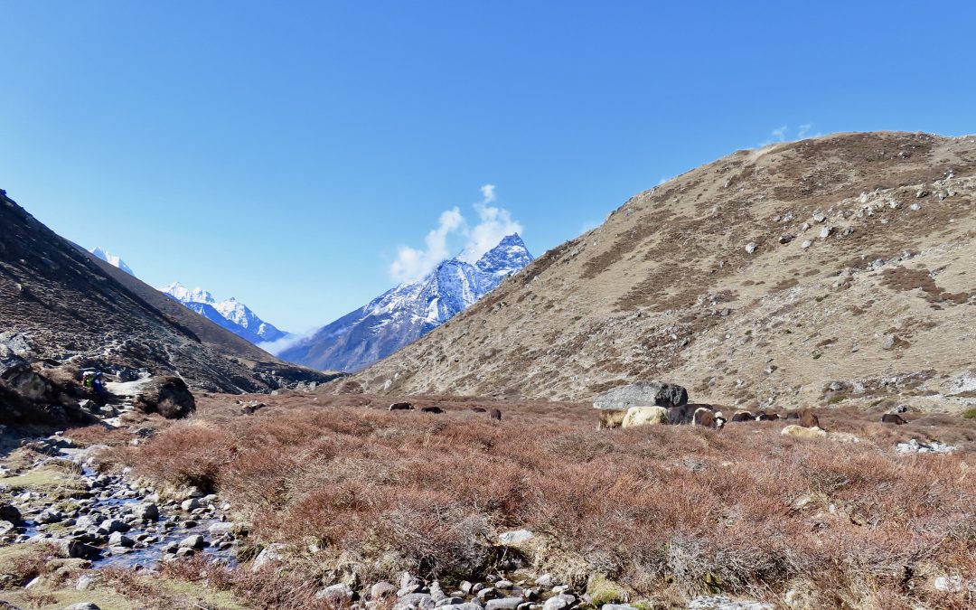 Tag 13: Von Dragnak nach Dhole