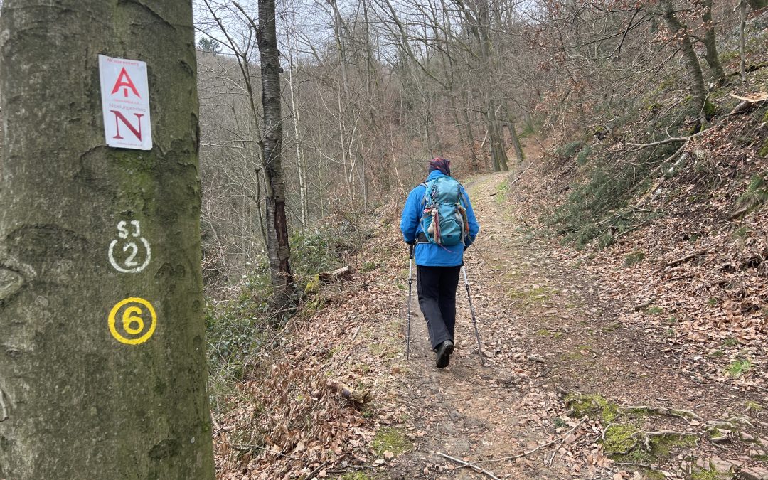 Expedition Odenwald