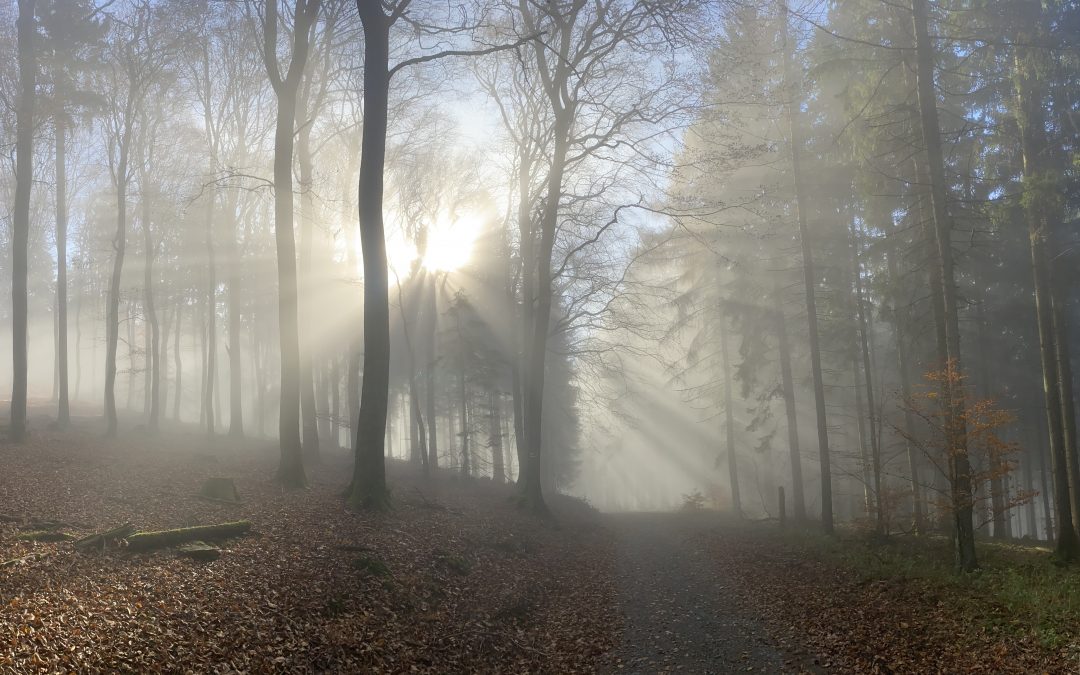 Herbstwanderung Taunus