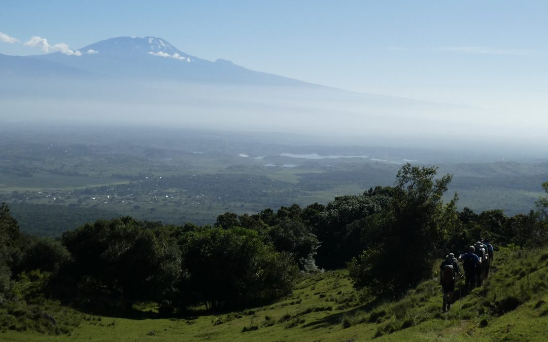 Kilimanjaro