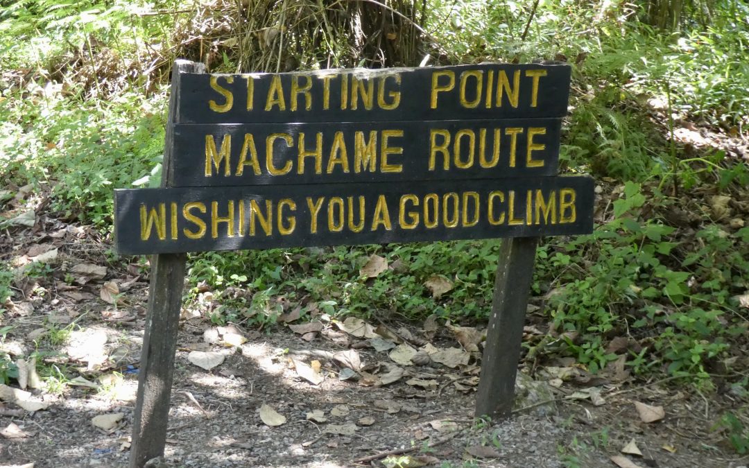 Kilimanjaro Tag 1: Machame Camp