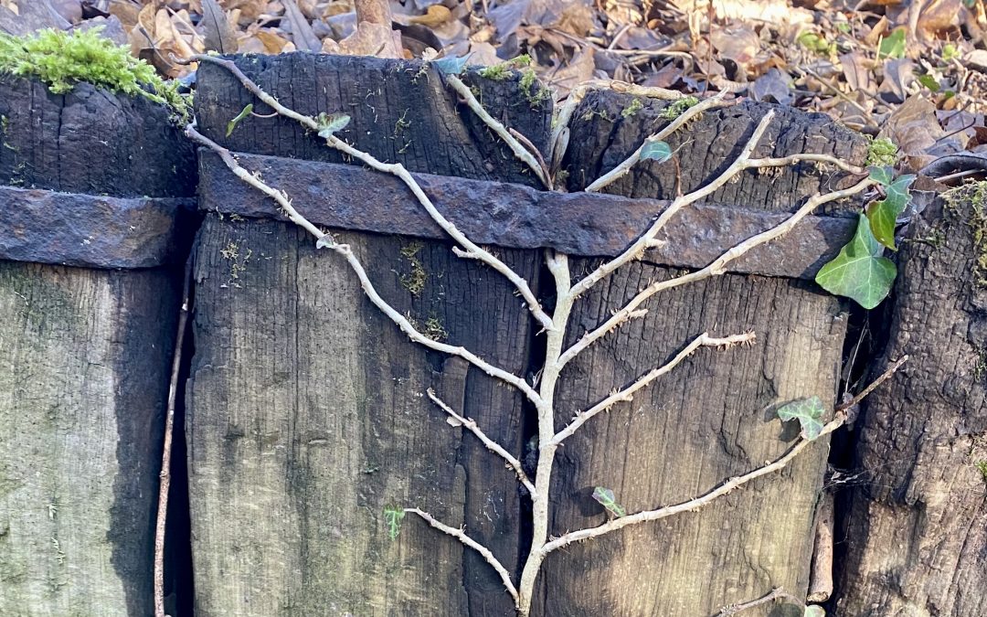 Stilfser Joch in Bonames