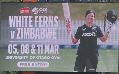 Cricket, Stille und die Wiederentdeckung der Langsamkeit